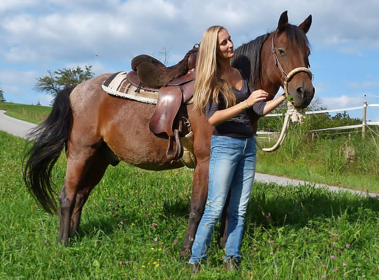 Gebisslos zu reiten liegt wieder im Trend – und das nicht nur bei Westernreitern.
